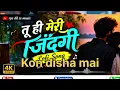 Nadiya Ke Paar ❤️ Kaun Disha Mein Leke Chala Re | Romantic LoFi Song | Hindi Lofi Reverb