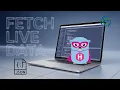 Get LIVE Data from ANY Website with Hugo JSON Fetching
