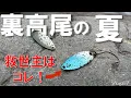 Download Lagu 【エリアトラウト】真夏の裏高尾、救世主はこのルアーだった！！【浅川国際マス釣場】