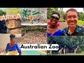 Download Lagu AFRICA IN SUNSHINE COAST AUSTRALIA 🇦🇺 !! This felt like home away from home 🤗🥰