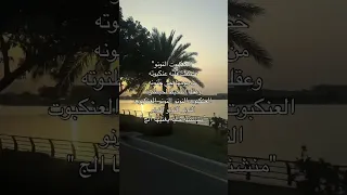 العنكبوت النونو خطفت قلبه عنكبوت من يومها جن جنونه    الصوت الأكثر طلبا  اكسبلور  ترند  تيك توك دندنها
