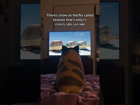 There's a show on YouTube called SEALOOK that's only in colors cats can see #shorts