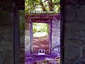 Download Lagu Zou jij dit pad volgen? #oswestry #bossen #bos #ruïnes #ontdekken #verlaten #shropshire