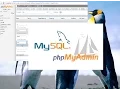 Connect to MySQL with PHP in XAMPP How To Create a Database