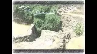شلتلي عقلي ام الجديلة دندنها
