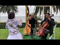 OMG: Harp & Cello Duo (Peggy & Garik) "A Million Dreams"