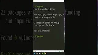 Install Angular Globally