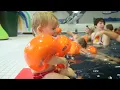 Download Lagu Flipper SwimSafe Arm Floaties, Water Wings for Kids