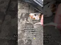 Download Lagu Sedih lihatnya😭 #quotes #yukberdoa #motivation #nasehat #rescuecats #rescueanimals #kucing #cat