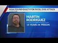 Longview man gets 15 years in fatal 2024 dog attack