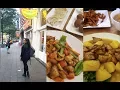 Download Lagu Vegan Hotspot Hunting | de Kade Rotterdam, Surinamese/Asian food | Hit or Miss?