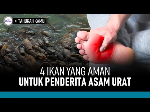 Rendah Purin! Ini 4 Ikan yang Aman Dikonsumsi Pengidap Asam Urat