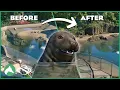 Rebuilding the FIRST Habitat That I EVER Created On Youtube Elm Hill City Zoo Planet Zoo