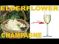 Lagu HOW TO MAKE ELDERFLOWER CHAMPAGNE AT HOME - HOMEBREW