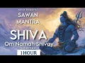 Download Lagu This SAWAN, Bring PEACE INSIDE with The GREATEST CHANT - OM NAMAH SHIVAYA for 1 Hour | SHIV MANTRA