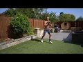 Goblet Switch Lunges