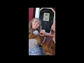 Glenrose Texas Big Rocks and Petting Zoo at Country Woods Inn We let all the animals out