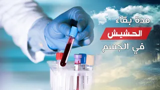 مدة بقاء الحشيش في الجسم وكيف تتخطى التحليل بآمان 