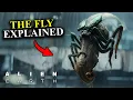 Download Lagu ALIEN EARTH: The Fly Explained