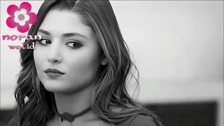 هتعرف قيمتي    ساموزين    حياه و مراد    مسلسل الحب لايفهم الكلام دندنها
