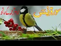Download Lagu Surah Yaseen Full With Urdu Translation | Qari abdul basit abdul samad | surah yasin