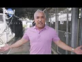 Download Cesar Millan: How to Pick the Best Shelter Pet for You | Zappos.com mp4 3gp mp3 videos - waplic