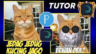 Download Tutorial Jedag Jedug Alight Motion || KUCING JAGO, BEWAN DEK, SET FF || JEDAG JEDUG VIRAL MP3