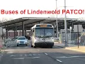 NeoplanDude S7EP45 Buses of Lindenwold PATCO Station