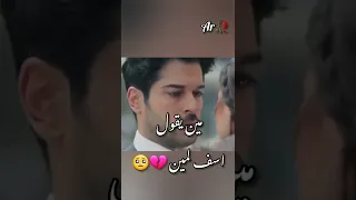 مين يقول اسف لمين 