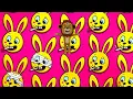 SEROTONIN - LaLion