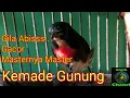 Download Lagu SUARA BURUNG KEMADE GUNUNG, Gacor Banget