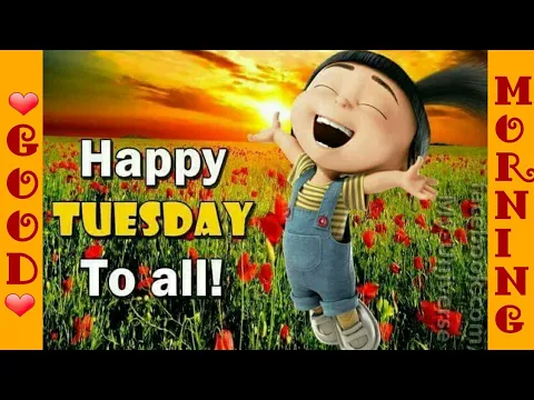 Download MP3 Happy Tuesday Morning, Tuesday Morning Wishes,Greetings, Tuesday Morning WhatsApp status Video