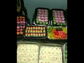 Download Lagu Aneka Hantaran Lamaran Cantik