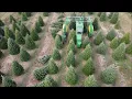 Download Lagu christmas tree harvester Jutek