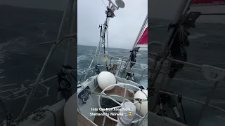 Into the wild North Sea!