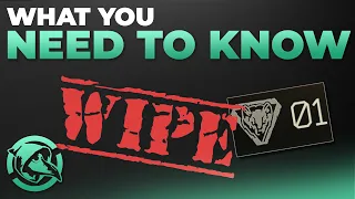 Wipe day - What you need to know