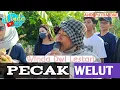 Download Lagu PECAK WELUT ❗ WINDA DWI LESTARI || ANDI PUTRA 1 || TANJUNG BARU CIASEM TENGAH