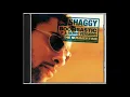 Lagu Shaggy - In The Summertime (1995)