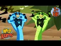 Download Lagu Activate Cobra Powers | Can Cobras Scare a Tiger? | Animals for Kids | Wild Kratts