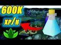 NEW Herblore Method In 2026 - Armadyl Brew Training Guide OSRS
