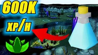 NEW Herblore Method In 2026 - Armadyl Brew Training Guide OSRS