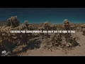 America - Sister Golden Hair | Lyrics