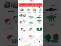 Preposition with picture