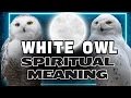 Why Seeing a White Owl Can Change Your Life Spiritual Meaning and Symbolism Explained