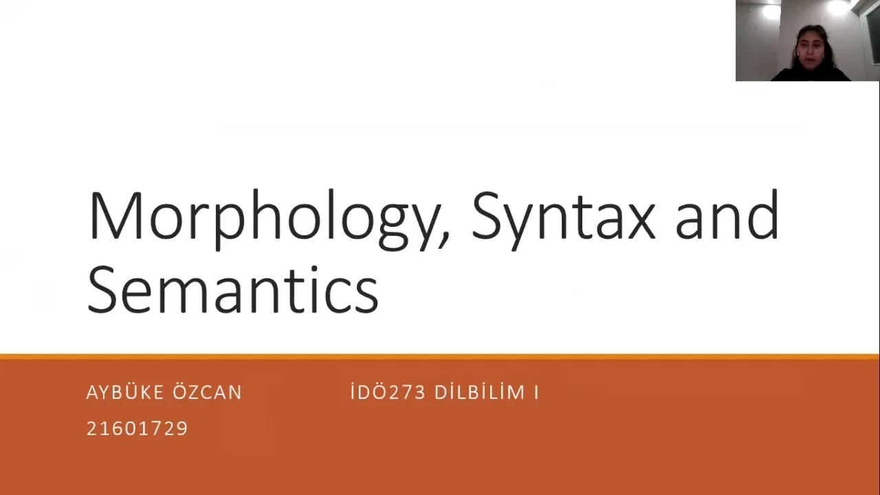Differences and similarities between Morphology, syntax and semantics