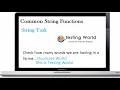 Programming Practice for Software Testers String Handling - Task 9