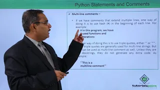 Python - Statements Comments