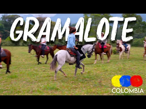 Horse Riding in Gramalote | Villavicencio, Meta