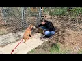 Macomb County Animal Control Update - May 2020
