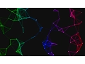 P5 js HTML 5 Canvas Particles